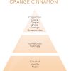 Orange de Canelle-Lampe Berger